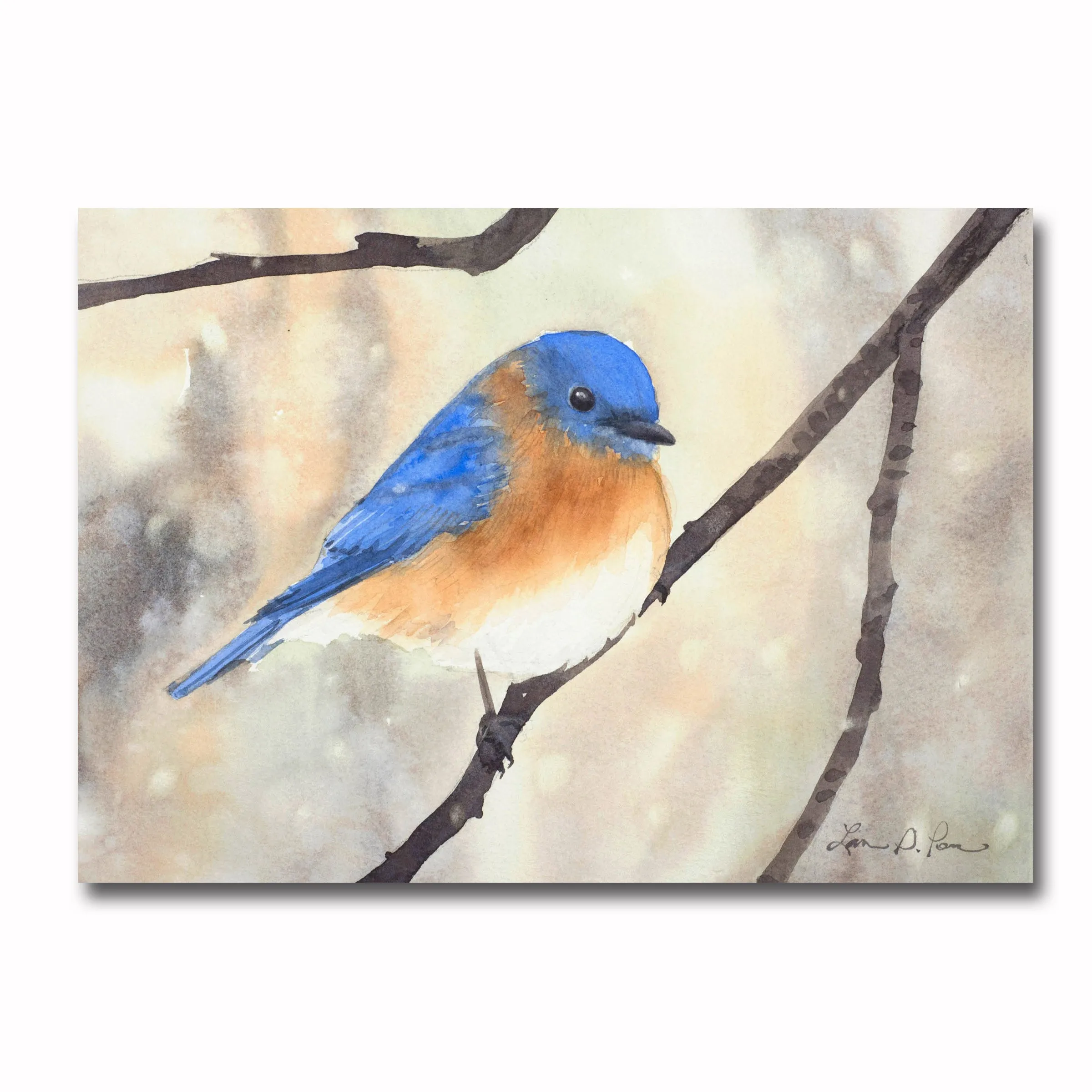 Eastern Bluebird/Snowy Giclee