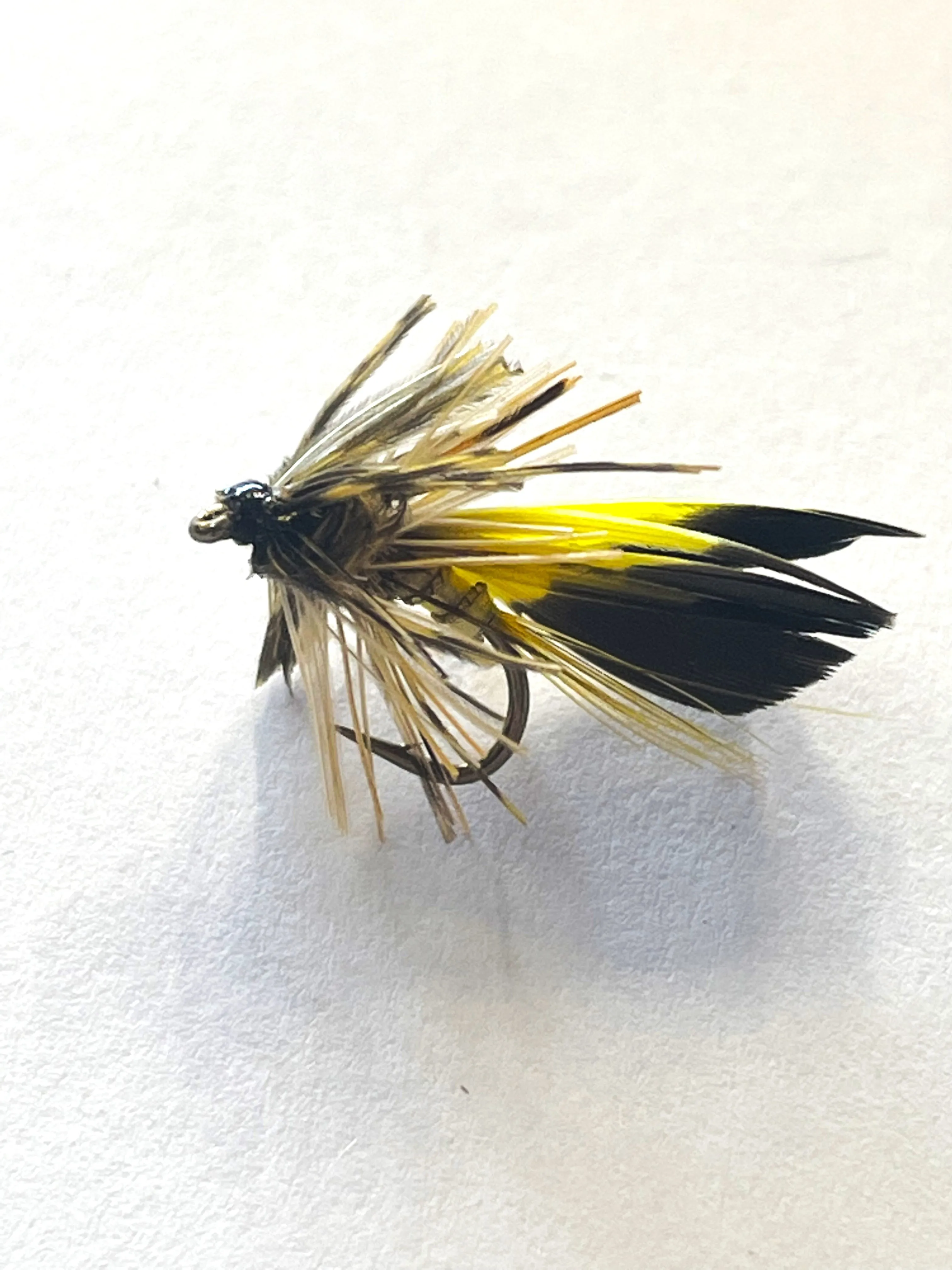 Snowy Mountains Hopper #14